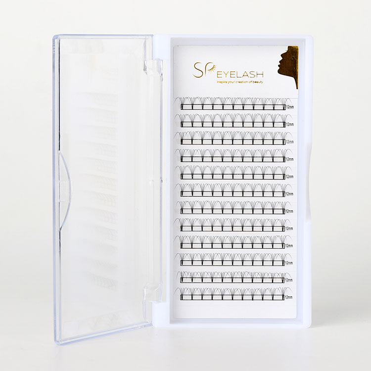 কেন প্রিমেড ফ্যান ল্যাশগুলি পেশাদার ল্যাশ এক্সটেনশনগুলির ভবিষ্যতকে আকার দিচ্ছে?