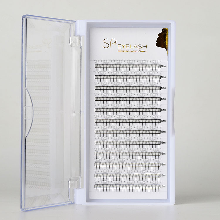 কিভাবে দ্রুত, ফুলার, এবং দীর্ঘস্থায়ী ল্যাশ এক্সটেনশনের জন্য প্রোমেড পয়েন্টি ফ্যান বেছে নেবেন?